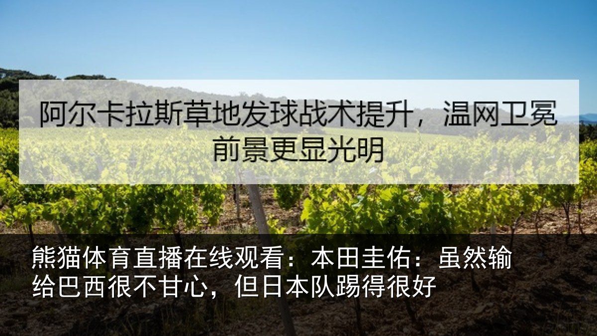 熊猫体育直播在线观看:本田圭佑:虽然输给巴西很不甘心,但日本队踢得很好