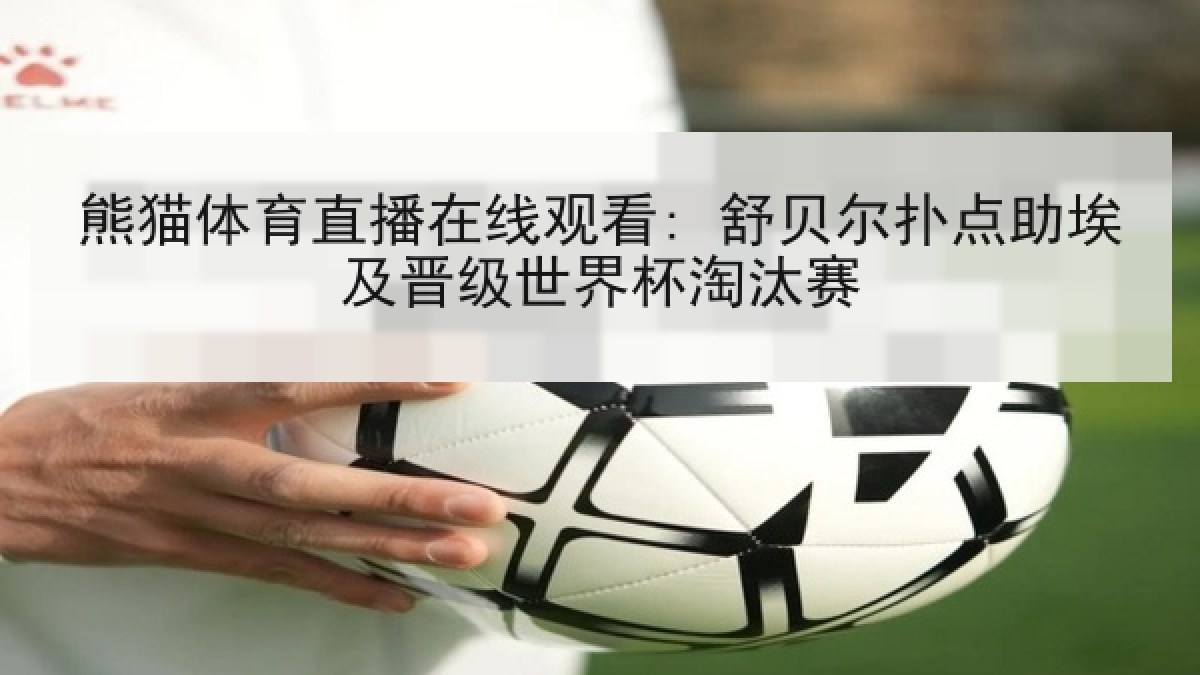 熊猫体育直播在线观看: 舒贝尔扑点助埃及晋级世界杯淘汰赛