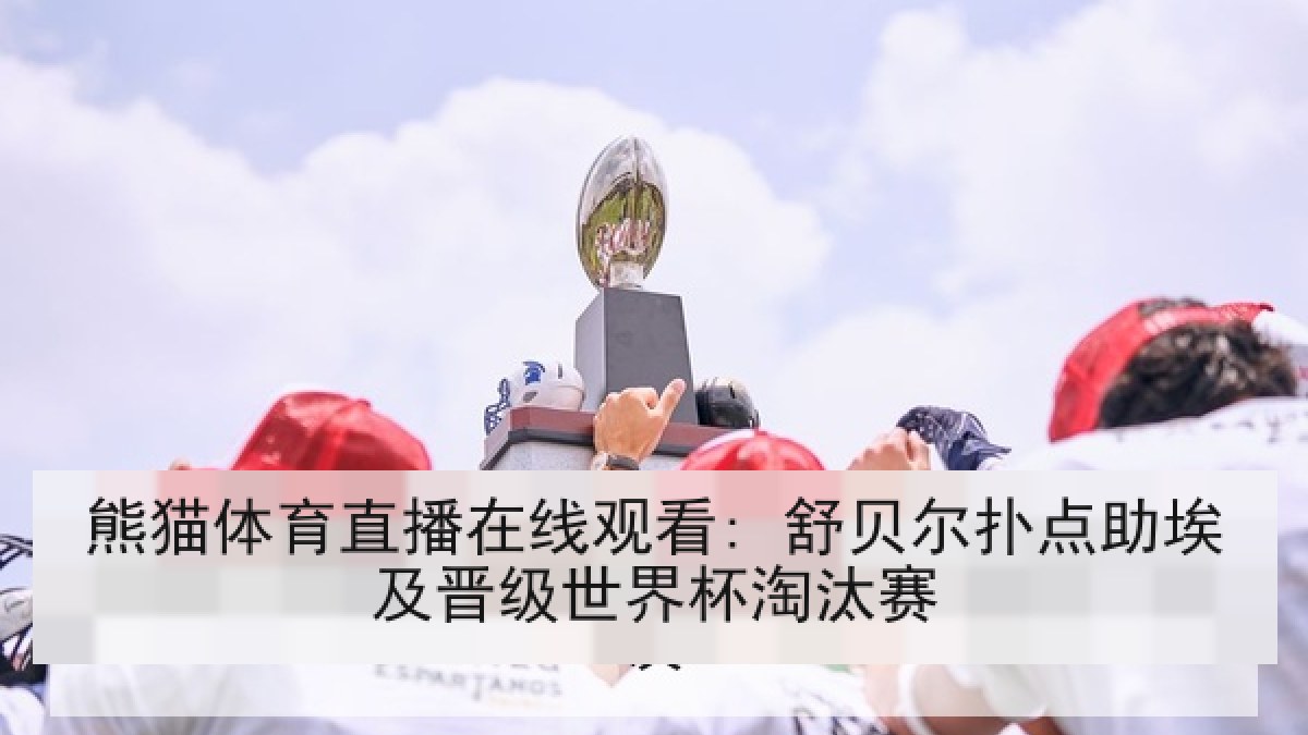 熊猫体育直播在线观看: 舒贝尔扑点助埃及晋级世界杯淘汰赛