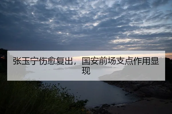 张玉宁伤愈复出，国安前场支点作用显现